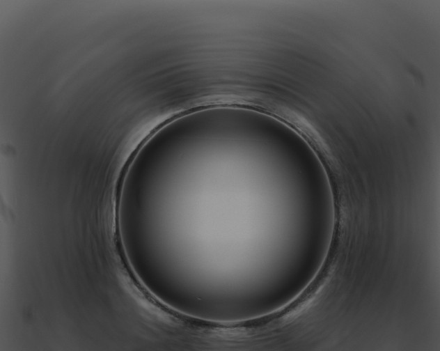 X0000091000844200708021559
