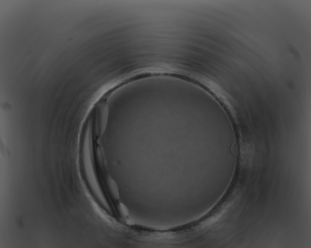 X0000091000845200708021559