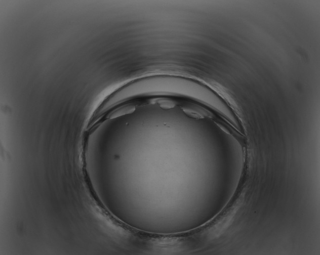 X0000091000846200708021559
