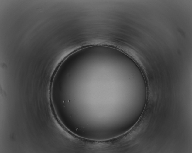 X0000091000847200708021559