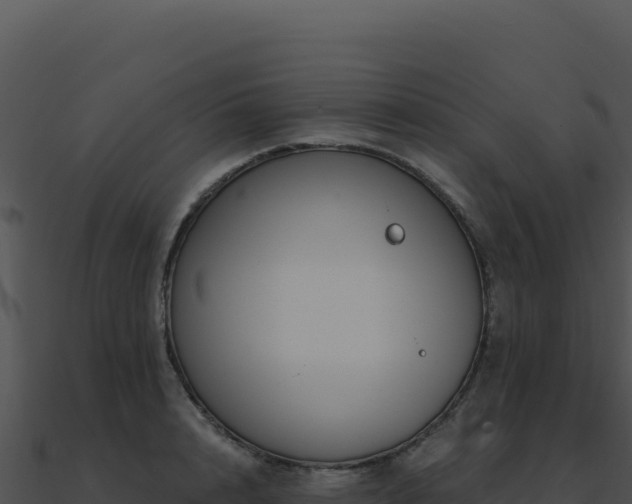 X0000091000848200708021559