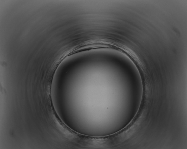 X0000091000849200708021559