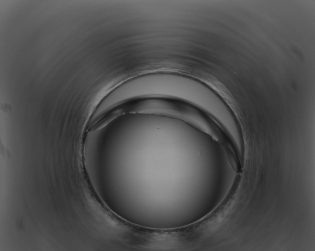 X0000091000850200708021559
