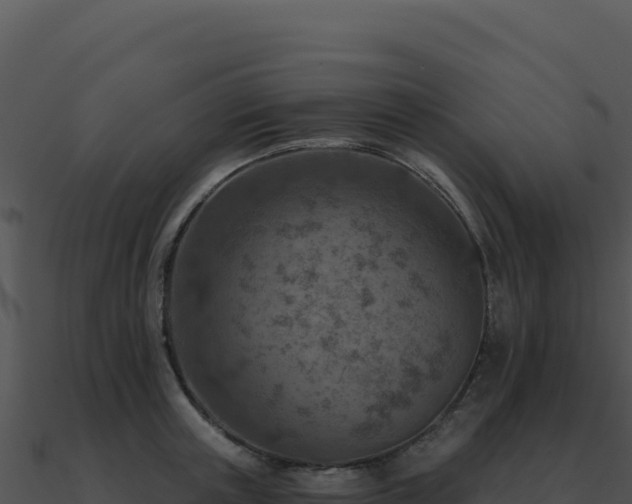 X0000091000851200708021559