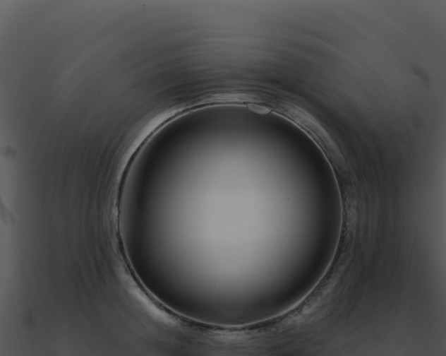 X0000091000852200708021559