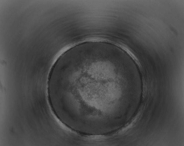 X0000091000853200708021559