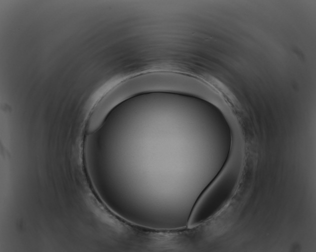 X0000091000854200708021559