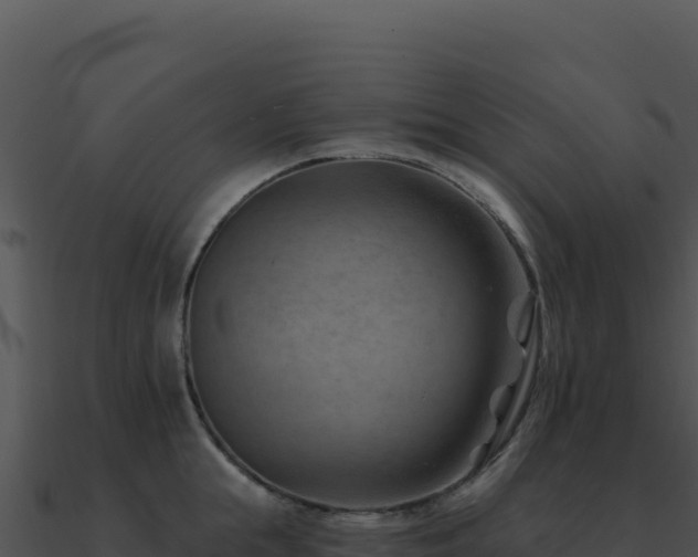 X0000091000855200708021559