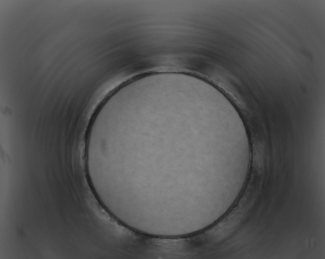 X0000091000856200708021559