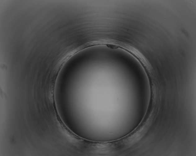 X0000091000857200708021559
