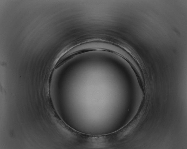 X0000091000858200708021559