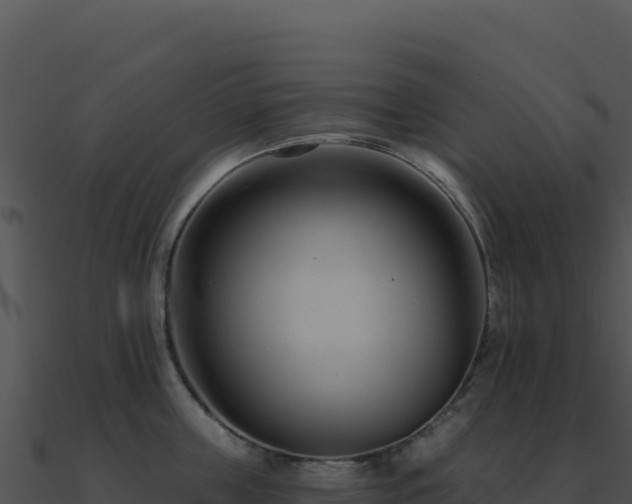 X0000091000859200708021559