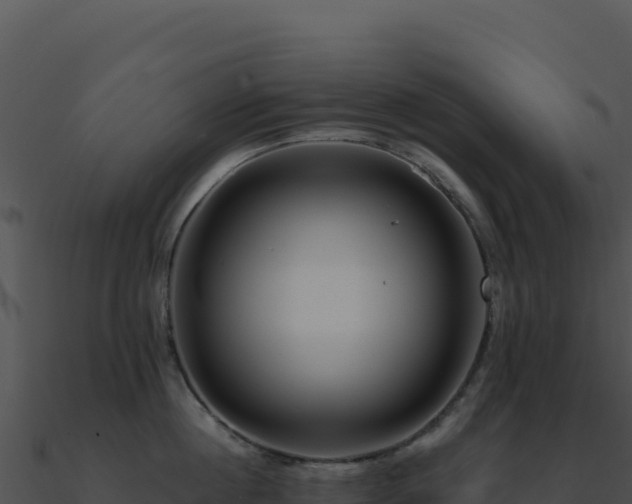 X0000091000860200708021559