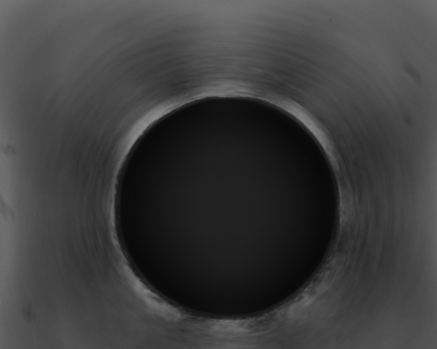 X0000091000861200708021559