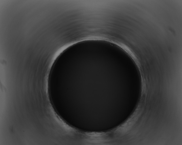 X0000091000862200708021559