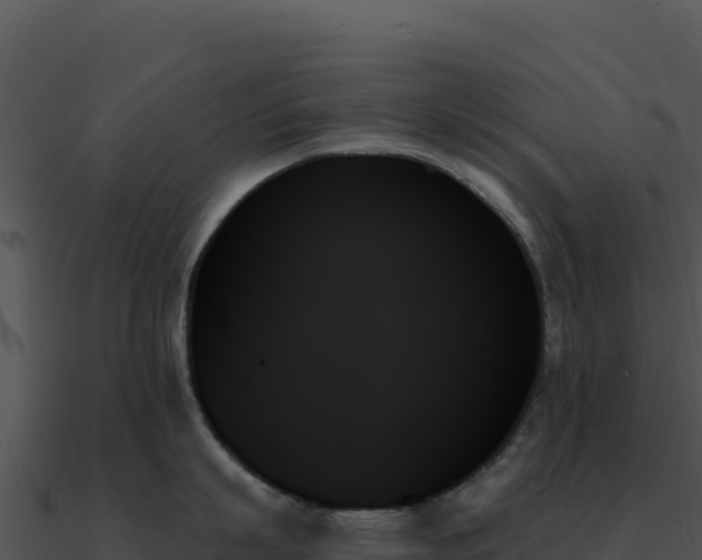 X0000091000863200708021559