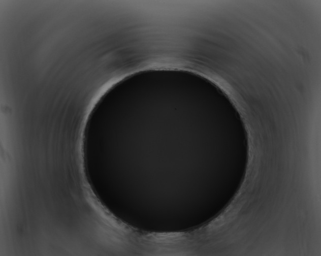 X0000091000864200708021559