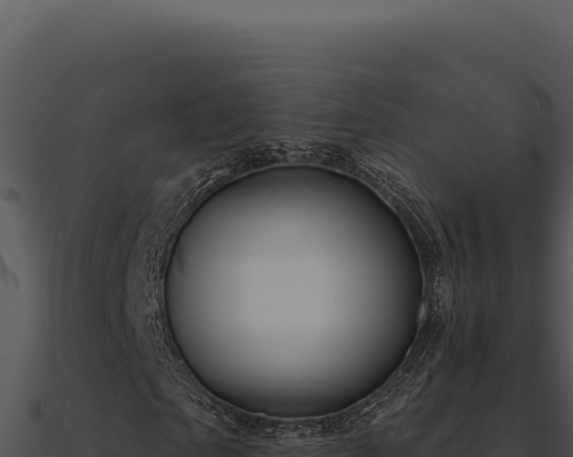 X0000091000865200708021558