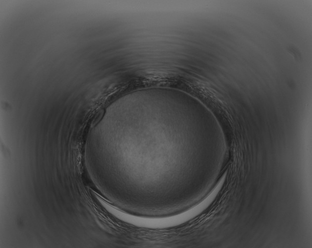 X0000091000868200708021558