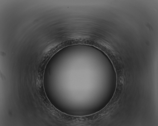 X0000091000869200708021558