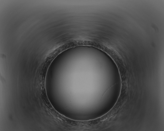 X0000091000870200708021558