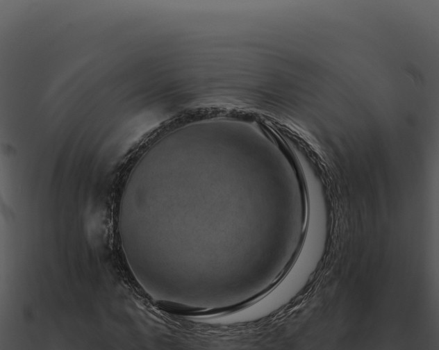 X0000091000872200708021558