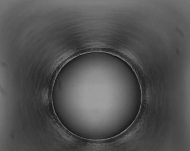 X0000091000873200708021558
