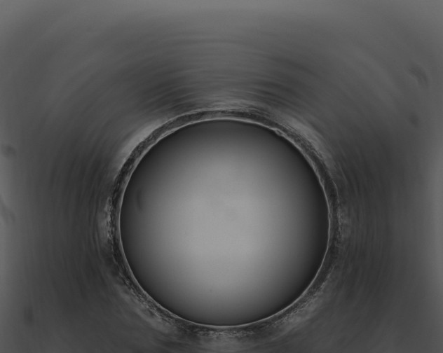 X0000091000875200708021558