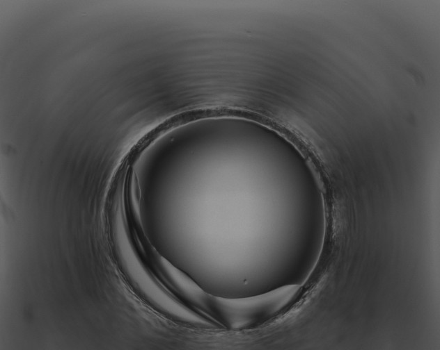 X0000091000876200708021558