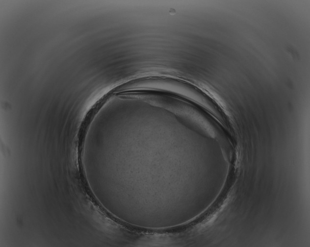 X0000091000877200708021558