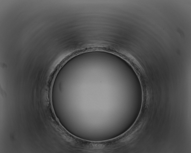 X0000091000878200708021558