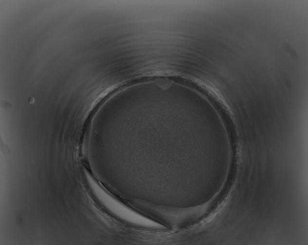 X0000091000881200708021558
