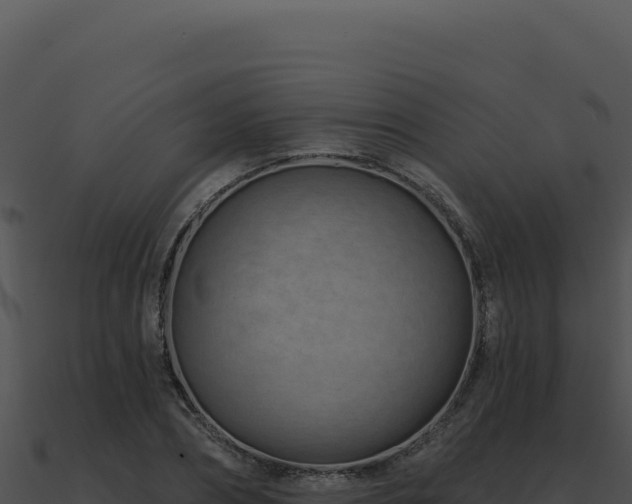 X0000091000882200708021558
