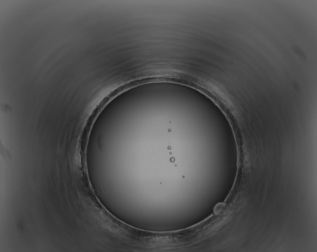 X0000091000883200708021558
