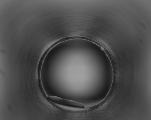 X0000091000884200708021558