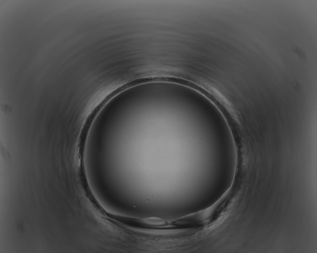 X0000091000885200708021558