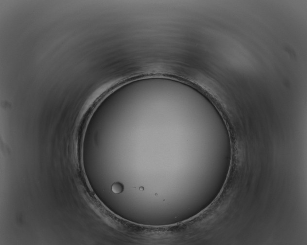 X0000091000886200708021558