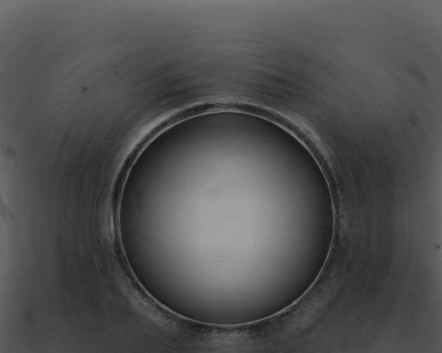 X0000091000887200708021558