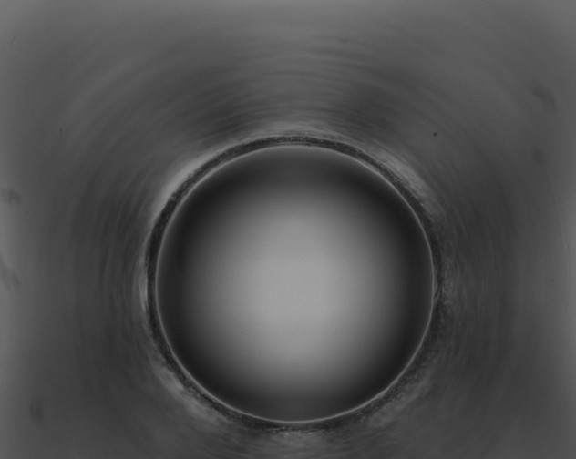 X0000091000888200708021558