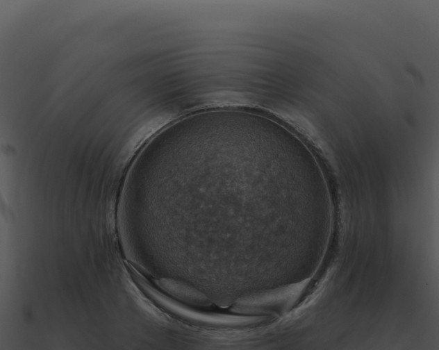 X0000091000889200708021558