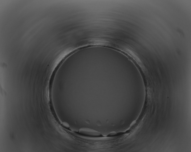 X0000091000891200708021558