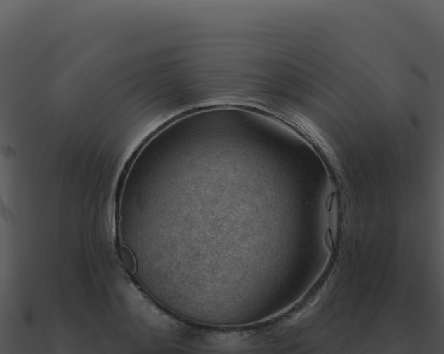 X0000091000892200708021558