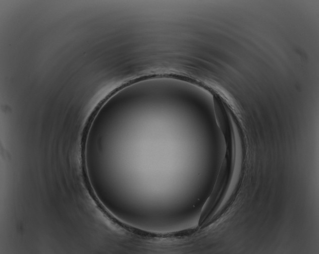 X0000091000894200708021558