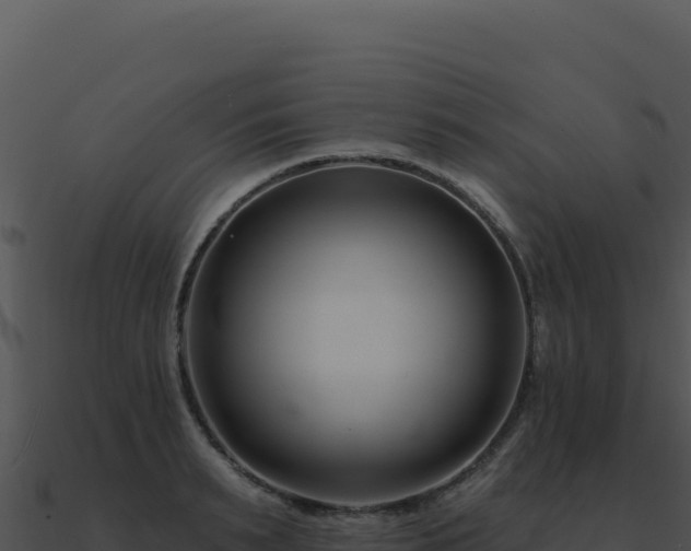 X0000091000895200708021558