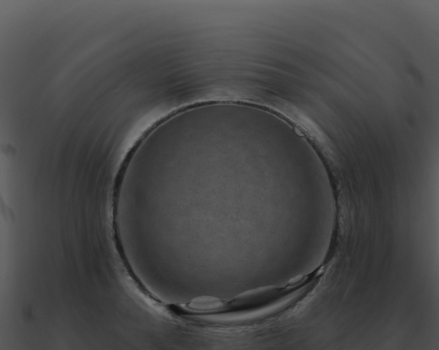 X0000091000896200708021558