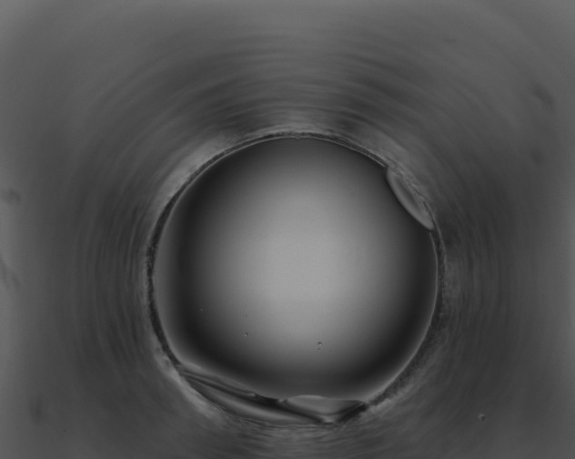 X0000091000898200708021558