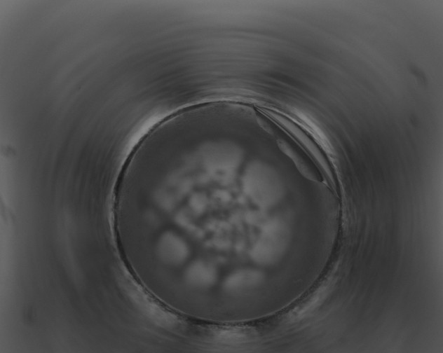 X0000091000899200708021558