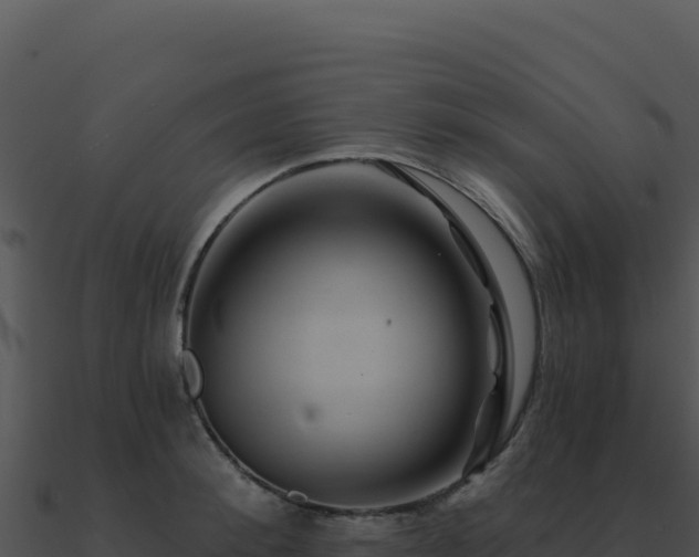 X0000091000900200708021558