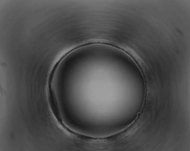 X0000091000902200708021558