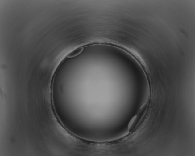 X0000091000903200708021558